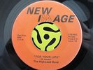 Rare 70's SOUL 45-High Level Band-For Your Life-New Image HEAR
