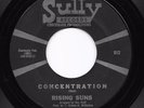 Sweet Soul 45 RISING SUNS Concentration/Land Of A Thousand Dances Sully HEAR
