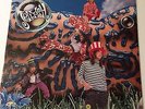 JELLYFISH – BELLYBUTTON LP (1990) CUSLP3 /CHARISMA/ EXCELLENT CONDITION
