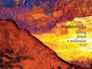 Tindersticks / falling down a mountain - Vinyl 4AD