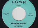 Garage Surf/R&B Novelty 45 - Gaytones - Arabian Night - Down - mp3 - unknown?