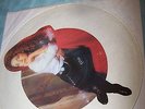 FREE UK POST Gloria Estefan  Uncut Shaped Picture Disc Can't Stay Away