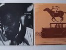 HOWLIN' WOLF - 2 LP's BLUES - Evil / Going Back Home