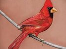 Alexisonfire - Old Crows/Young Cardinals