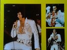 ELVIS PRESLEY - THE KING LOST ON TOUR  ( LP )