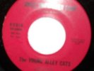 THE YOUNG ALLEY CATS 45 on ROBIN LABEL RR 100 Since She's Been Gone Cat Tracks