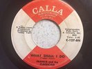 Frankie and the Classicals - What shall i do, Calla Records, Northern Soul 45