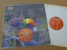 BEE GEES First LP RARO 1st UK Press Debut Polydor Laminato'67 Psych MONO