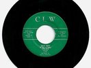 LITTLE ELLIS & THE L-7's  Garage/Surf 45-Single “Barb Wire” DENVER, CO 1965 VG++
