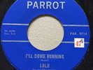 MOD FREAKBEAT Lulu I'LL COME RUNNING Parrot 45 rare Canadian pressing Jimmy Page