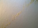 Elvis Aron Presley 25 anniversary  limited edition