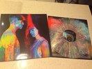 STRANGER CAT In The Wilderness Limited Splatter Vinyl x/300 Sufjan Stevens JNR