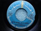 RARE 70'S SOUL 45 DAVID SHEFFIELD YOU'RE WRONG, YOU'RE WRONG STONE LADY 