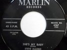 STEVE ALAIMO 45 She's My Baby / I Should Care GARAGE Rockabilly ROCKER 1959 m513