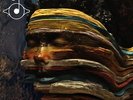 Bjork-Bastards Vinyl / 12