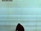 Foals - What Went Down (Vinyl LP / Album) (New)