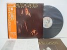 DAVID GATES Never Let Her Go LP Vinyl JAPAN WARNER PIONEER P-8547E W/ OBI BREAD