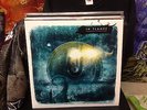 IN FLAMES SOUNDTRACK TO YOUR ESCAPE PICTURE DISC