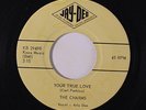 CHARMS: Your True Love / I Wouldn't Be So Sure 45 (very faint label stains) Old