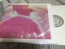 Rainbow ( deep purple ) Blackmore rider Live in tokyo 76 / no tmoq tmq JPN marc