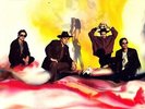 Arabia Mountain - Black Lips (2011, Vinyl NEU)