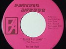 YELLOW HAIR Talent For Lovin 45 on Pacific Avenue 70s Midwest Rock Psych M-