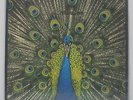 THE BLUETONES - Expecting To Fly LP 1996 UK ORIG LTD EDITION 5000 PRESS OASIS