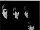 The Beatles - With the Beatles Remastered Stereo 180g LP Vinyl Record Sealed