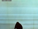 FOALS What Went Down Vinyl LP 2015 (10 Tracks) NEW & SEALED