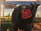 Blink 182 - Dude Ranch Brown/Gold Colored Vinyl. Ltd to 500. OOP. Rare.