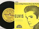 elvis presley that's all right/down by the riverside 45 italy SUN NP 10 