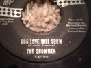 Rare Northern Soul Original The Showmen Our Love Will Grow Swan