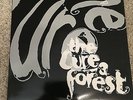 THE CURE - Rare - A Forest - In Between Days Vinyl 12