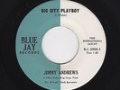 '65 NORTHERN MONSTER JIMMY ANDREWS Big City Playboy BLUE JAY 5003 M- HEAR LOOK
