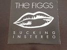The Figgs - Sucking In Stereo LP / Black Pressing / Out Of Print / Signed