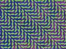 Animal Collective Merriweather Post Pavilion 2xLP vinyl record sealed deerhunter