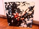 Pink Floyd Obscured by Clouds Harvest LP AW 11078 US