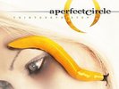 A PERFECT CIRCLE THIRTEENTH STEP LP VINYL  NEW LTD ED COLOURED LP VINYL