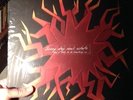 Sunny Day Real Estate - How It Feels to be Something On - Vinyl LP - 1998