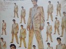 ELVIS PRESLEY Disco de Oro Vol 2 ultr@r@re 1st Pres LP from Chile 1959