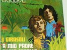 I GIRASOLI     ---  a mio padre  ---