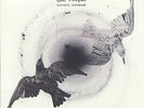 THE CORAL - DISTANCE INBETWEEN (INC EXC PRINT) - NEW VINYL LP - PRE-ORDER