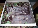 THE DAMNED the black album gatefold lp features  the lyrics