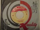 RONNIE HAWKINS Hey Bo Diddley/Love Me Like You Can Canadian Rockabilly 45