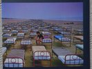 PINK FLOYD 