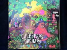 Culpeper's Orchard debut Prog reissue 12