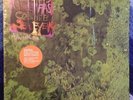 Water Curses by Animal Collective Vinyl Jun-2008, Domino Records FIRST PRESS NM