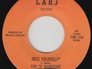Funk 45 - Fire 'N' Brimstone - Into Yourself - LARJ - VG++ mp3