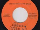 70s Soul 45 - Dee Dee Joseph & David - She's Got Something - Free Soul VG++ mp3