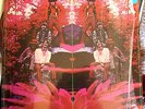 PLAYED ONCE ALBUM * BLUE MOUNTAIN EAGLE * RANDY FULLER * STEREO LP Psychedelic